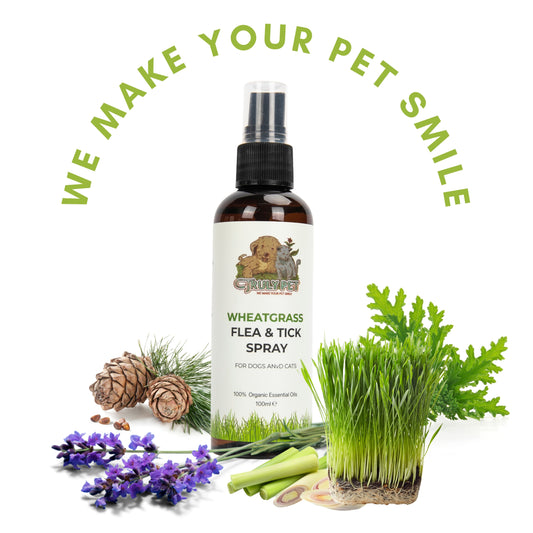 TRULY PET - Organic Wheatgrass Flea & Tick Spray For Pets