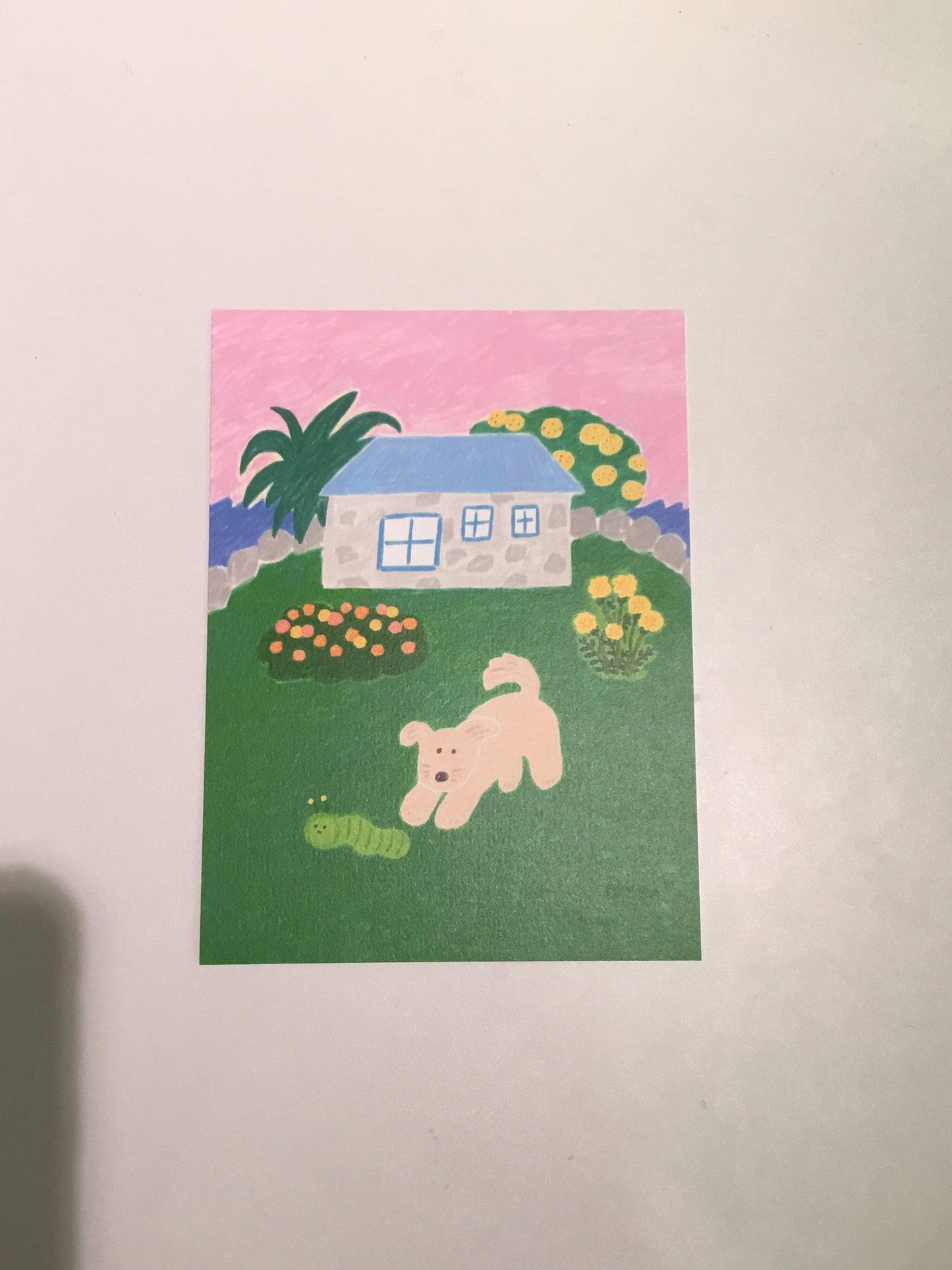 Yumma card